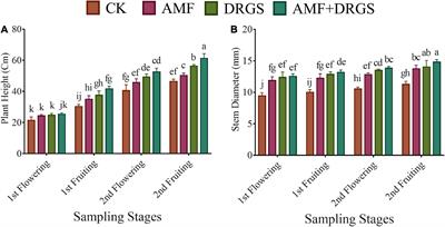 Arbuscular Mycorrhizal Fungi and Dry Raw Garlic Stalk Amendment Alleviate Continuous Monocropping Growth and Photosynthetic Declines in Eggplant by Bolstering Its Antioxidant System and Accumulation of Osmolytes and Secondary Metabolites